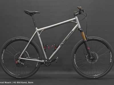 1_Ungetuem-XXL-Titan-29er-MTB-scaled